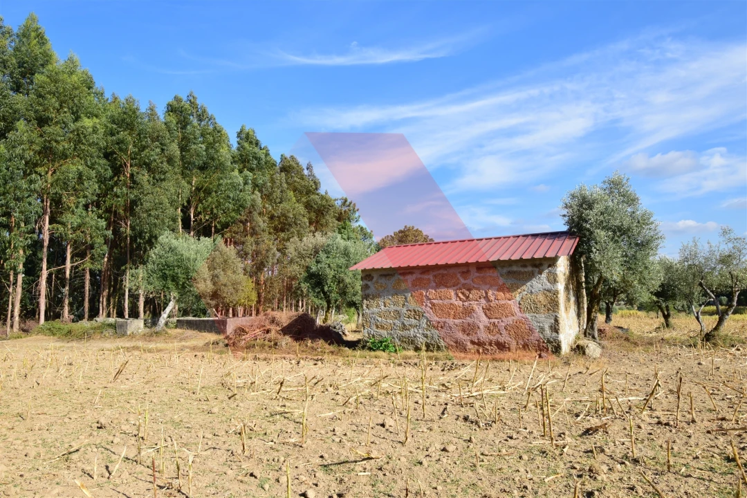 Terreno Agricola ou Rústico para Venda em Ázere e Covelo Foto 4