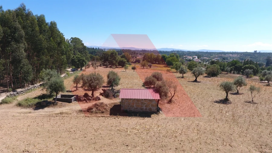 Terreno Agricola ou Rústico para Venda em Ázere e Covelo Foto 5