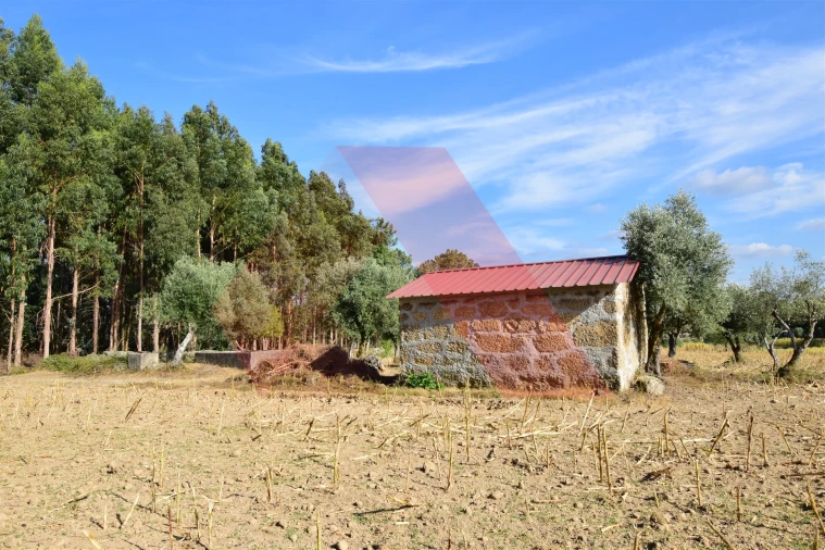 Terreno Agricola ou Rústico para Venda em Ázere e Covelo Foto 4