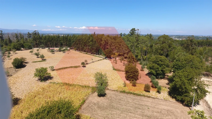 Terreno Agricola ou Rústico para Venda em Ázere e Covelo Foto 9
