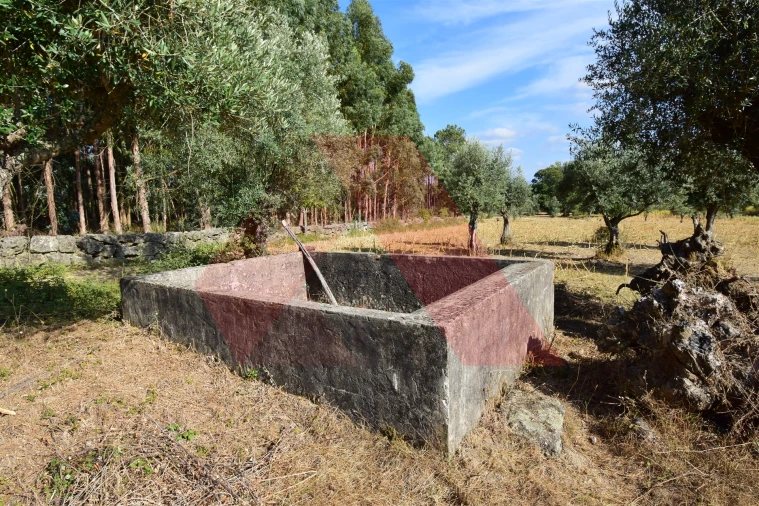 Terreno Agricola ou Rústico para Venda em Ázere e Covelo Foto 3