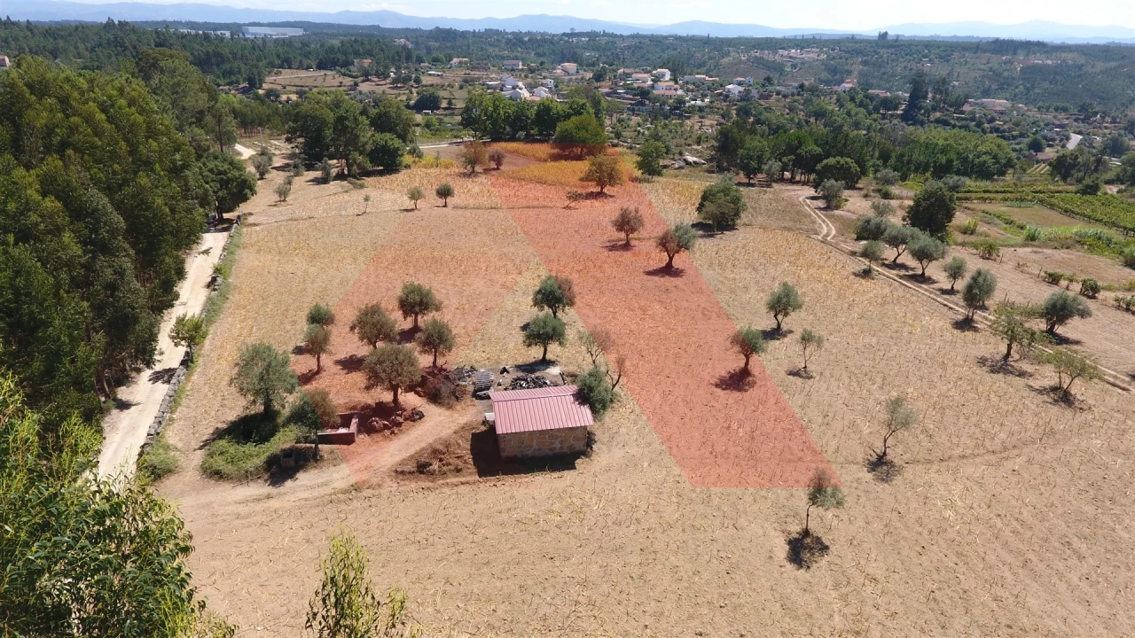 Terreno Agricola ou Rústico para Venda em Ázere e Covelo Foto 6