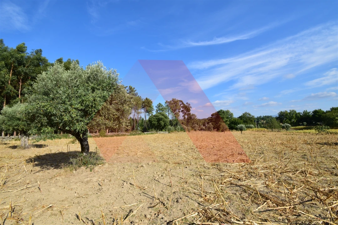 Terreno Agricola ou Rústico para Venda em Ázere e Covelo Foto 7
