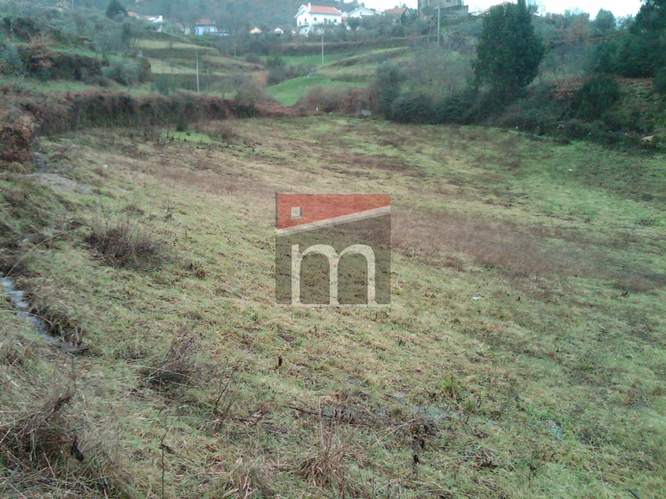 Terreno Agricola ou Rústico para Venda em Aldeias e Mangualde da Serra Foto 5