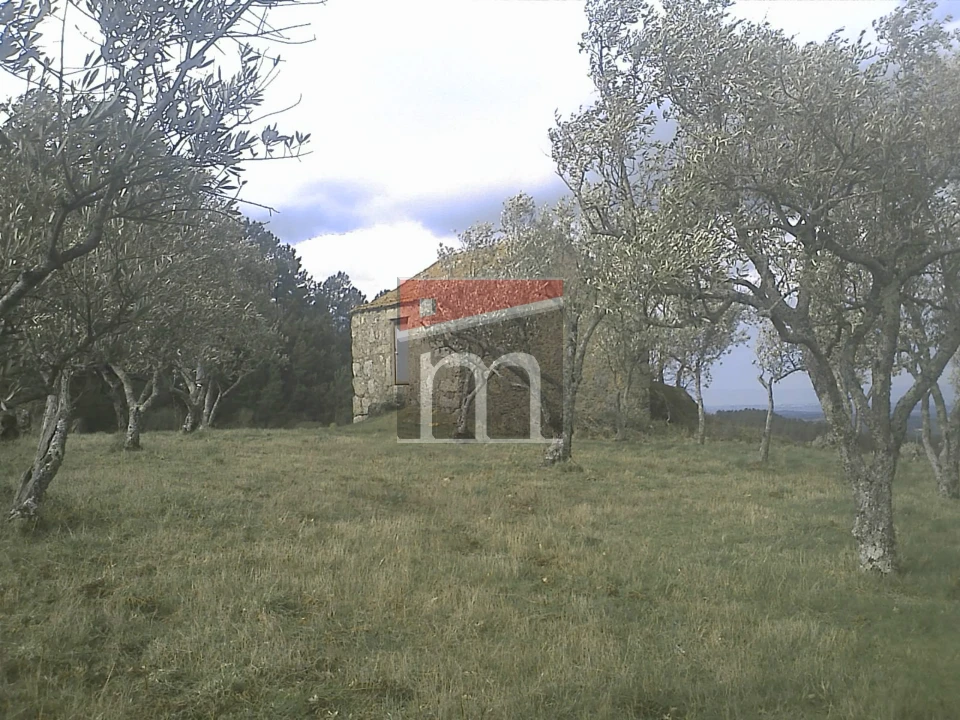 Terreno Agricola ou Rústico para Venda em Aldeias e Mangualde da Serra Foto 4