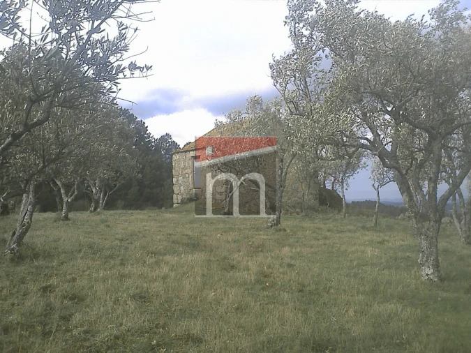 Terreno Agricola ou Rústico para Venda em Aldeias e Mangualde da Serra Foto 4