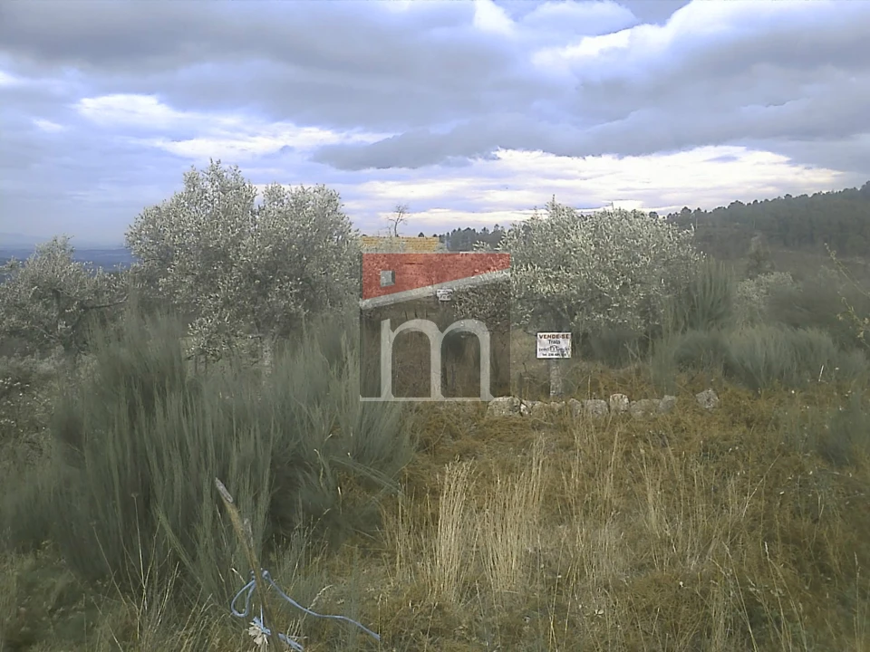 Terreno Agricola ou Rústico para Venda em Aldeias e Mangualde da Serra Foto 2
