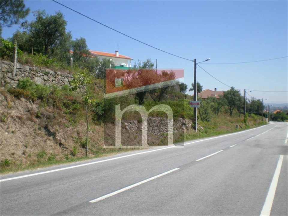 Terreno para Venda em São Paio Foto 11