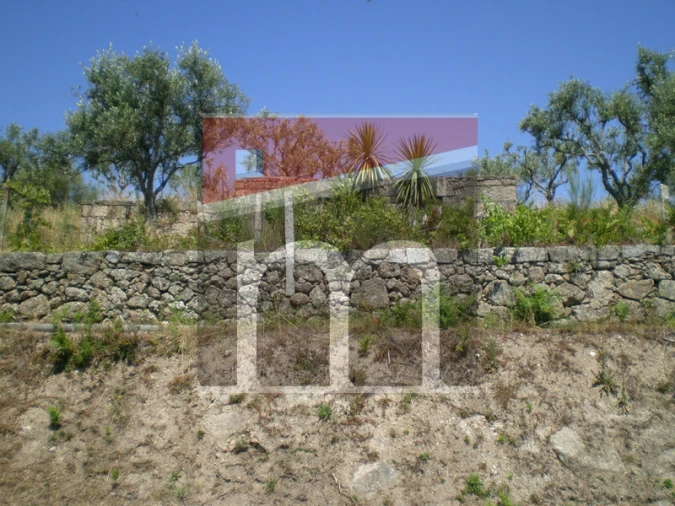 Terreno para Venda em São Paio Foto 12