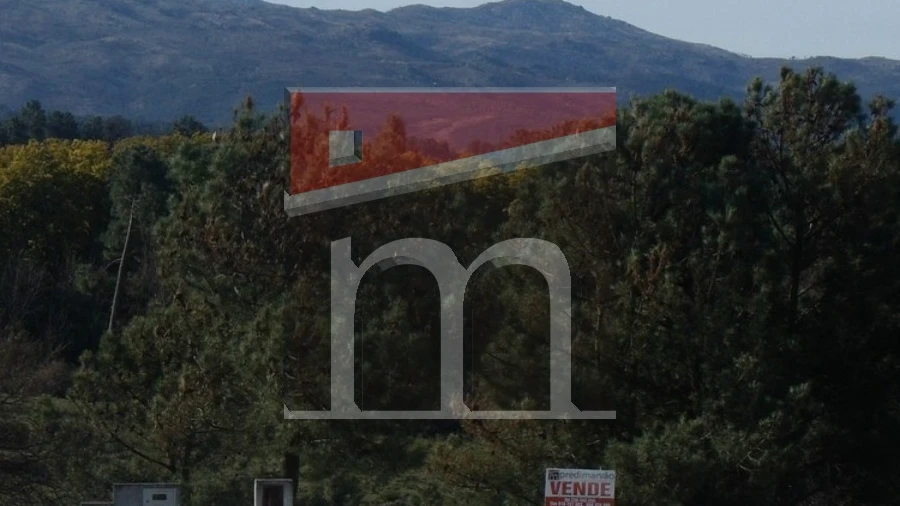 Terreno para Venda em Nespereira