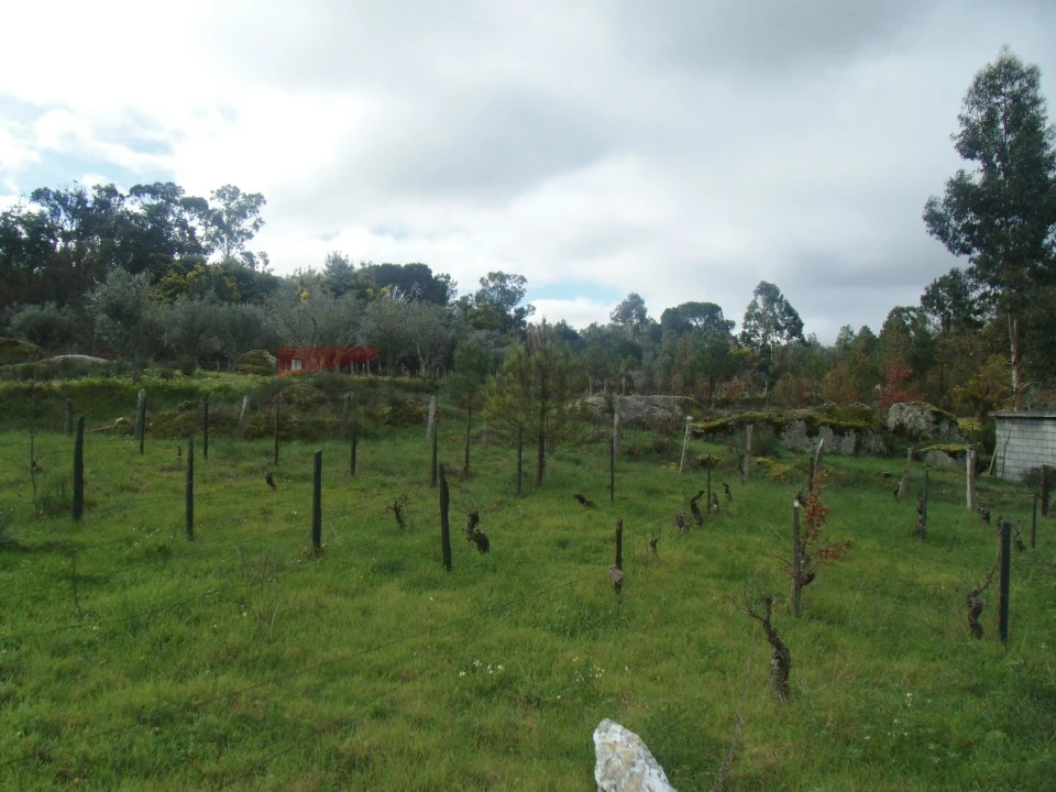 Terreno Agricola ou Rústico para Venda em Nespereira Foto 6