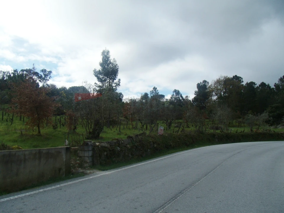 Terreno Agricola ou Rústico para Venda em Nespereira Foto 3