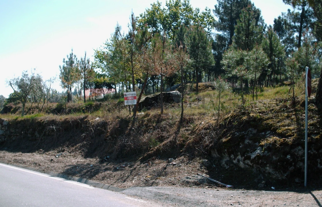 Terreno Agricola ou Rústico para Venda em Nespereira Foto 9