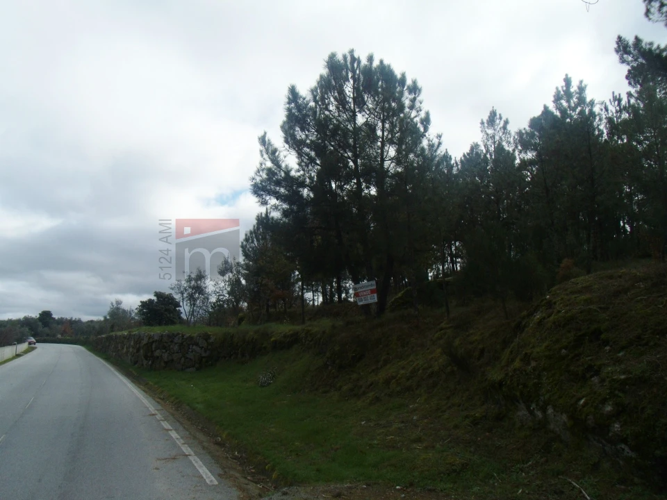 Terreno Agricola ou Rústico para Venda em Nespereira Foto 8