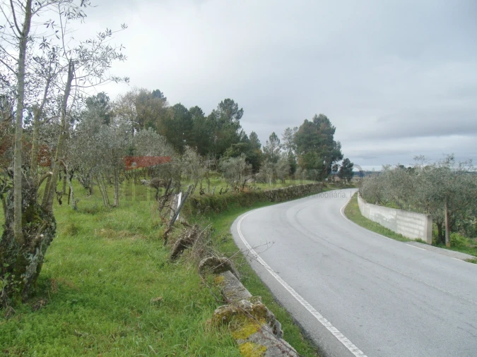 Terreno Agricola ou Rústico para Venda em Nespereira Foto 1