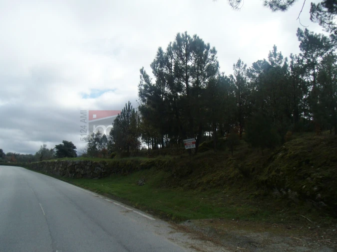 Terreno Agricola ou Rústico para Venda em Nespereira Foto 7