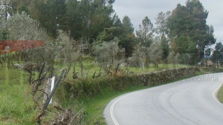 Terreno Agricola ou Rústico para Venda em Nespereira