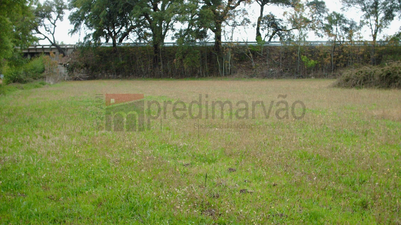 Terreno Agricola ou Rústico para Venda em Nespereira Foto 8