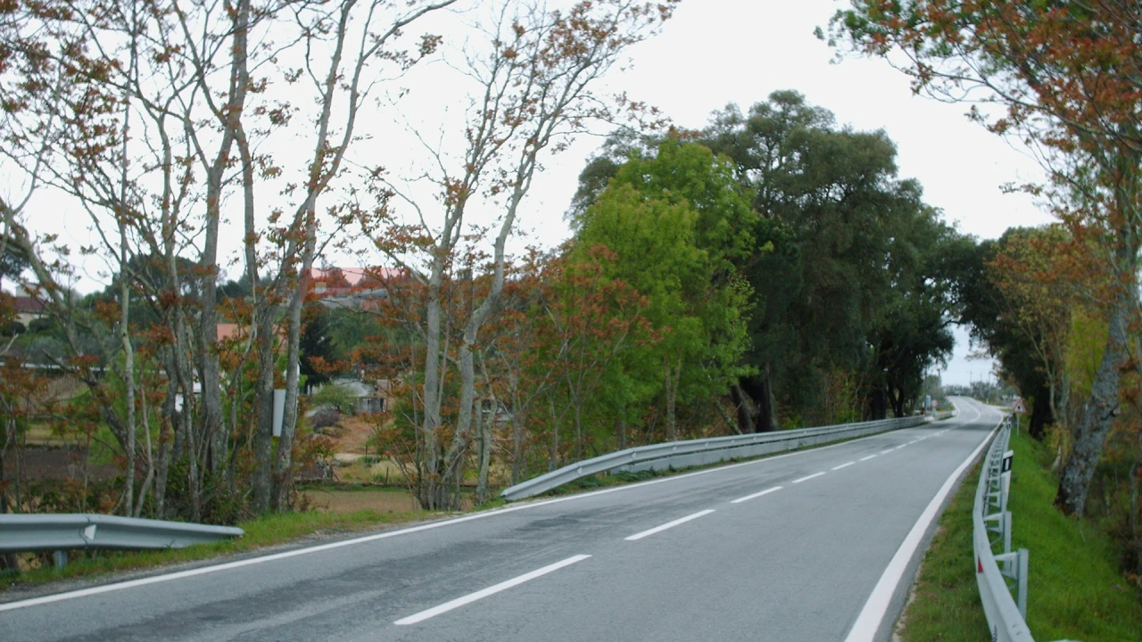 Terreno Agricola ou Rústico para Venda em Nespereira Foto 5
