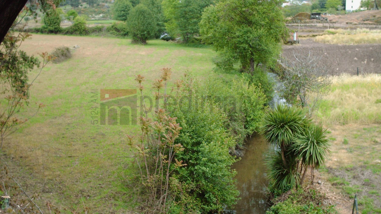 Terreno Agricola ou Rústico para Venda em Nespereira Foto 11