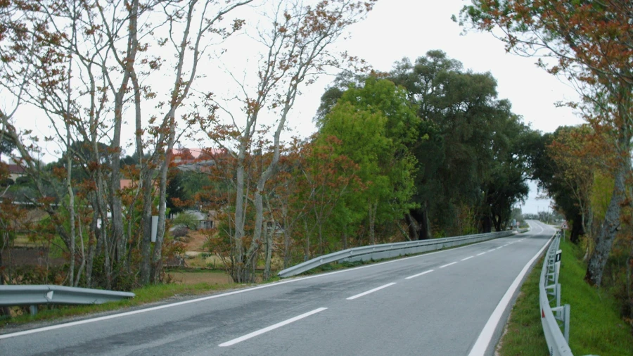 Terreno Agricola ou Rústico para Venda em Nespereira Foto 5