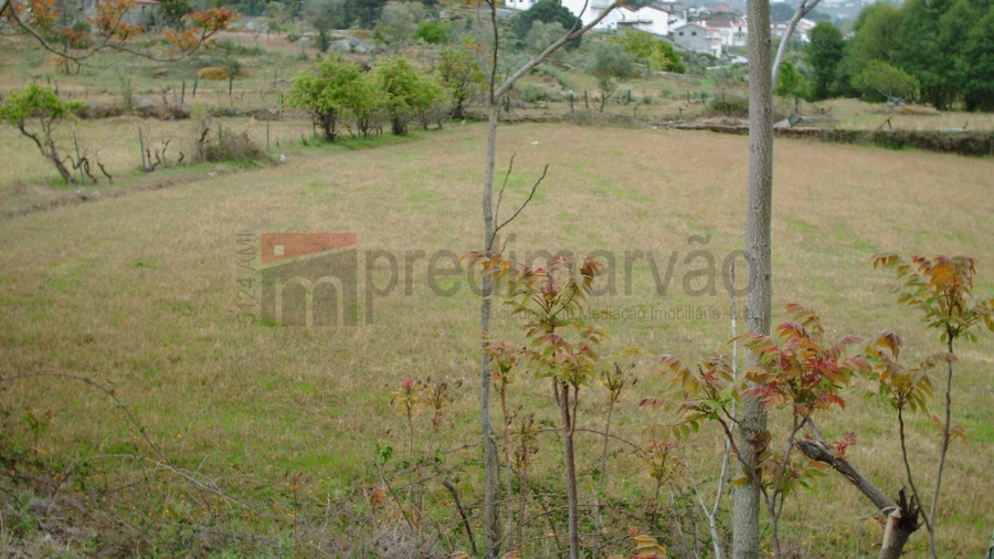 Terreno Agricola ou Rústico para Venda em Nespereira Foto 3