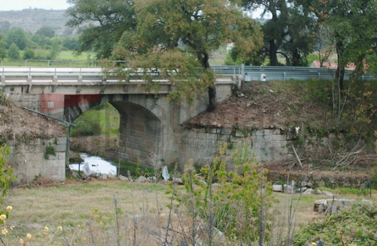 Terreno Agricola ou Rústico para Venda em Nespereira Foto 12