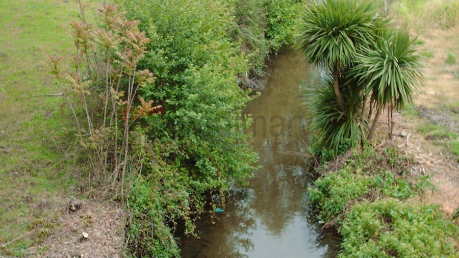 Terreno Agricola ou Rústico para Venda em Nespereira Foto 10