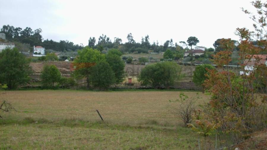 Terreno Agricola ou Rústico para Venda em Nespereira Foto 6