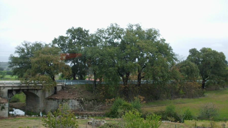 Terreno Agricola ou Rústico para Venda em Nespereira Foto 14