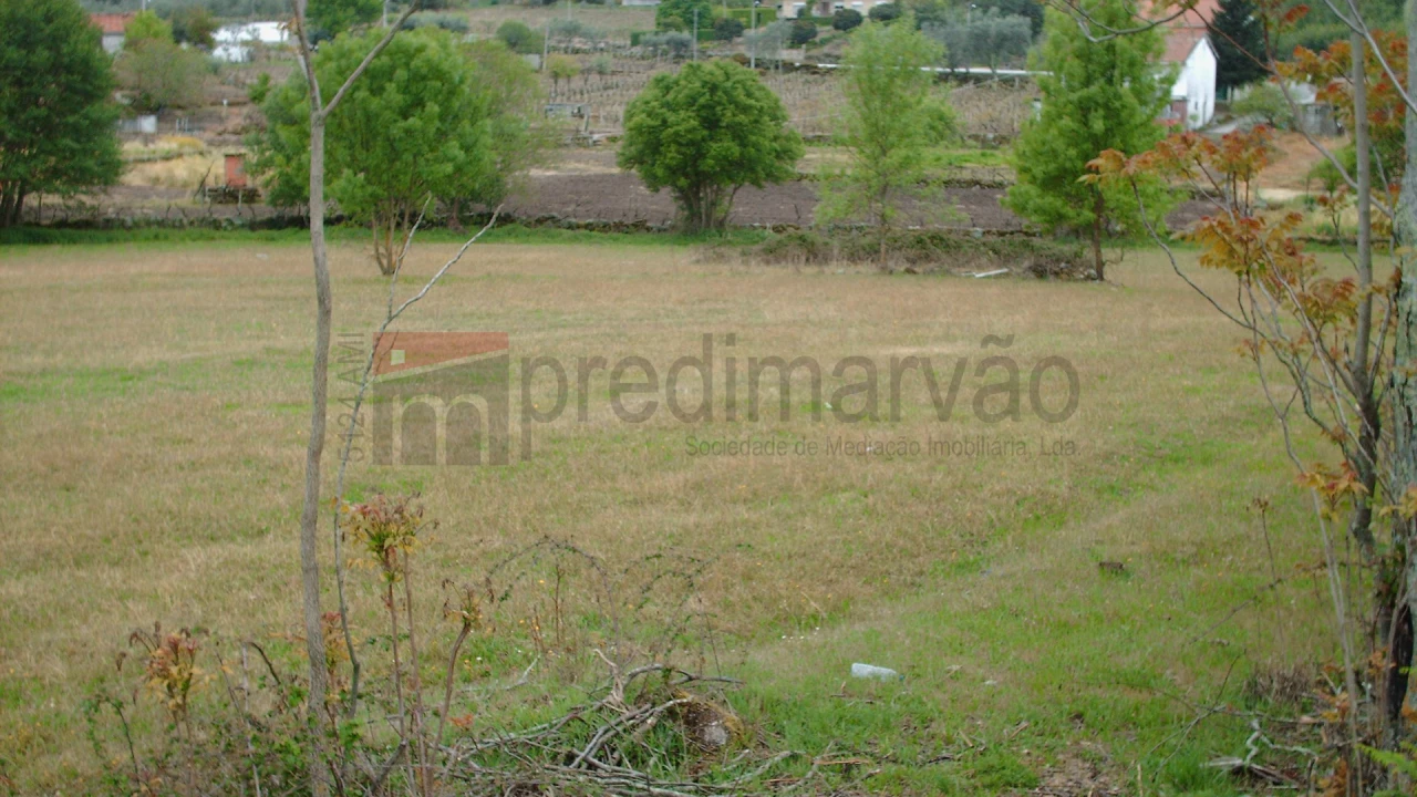 Terreno Agricola ou Rústico para Venda em Nespereira Foto 2