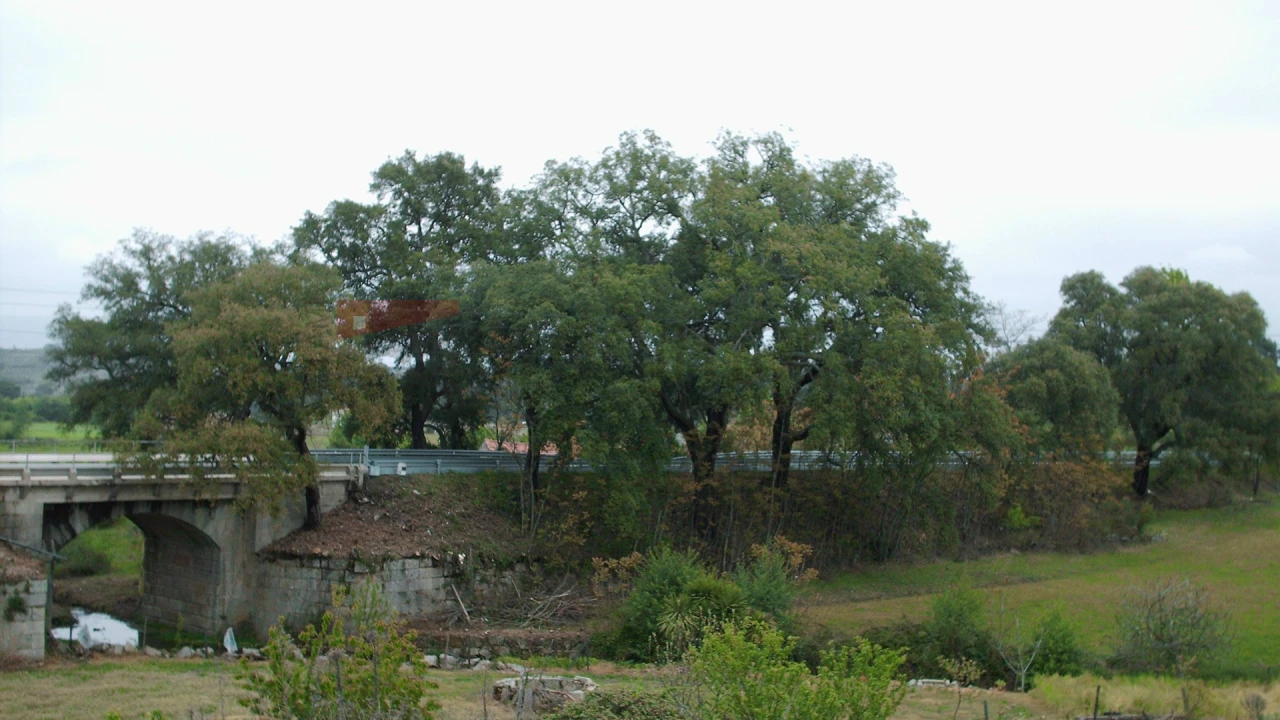 Terreno Agricola ou Rústico para Venda em Nespereira Foto 14