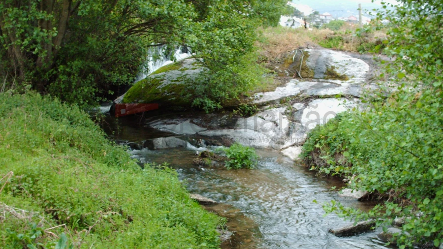 Terreno Agricola ou Rústico para Venda em Nespereira