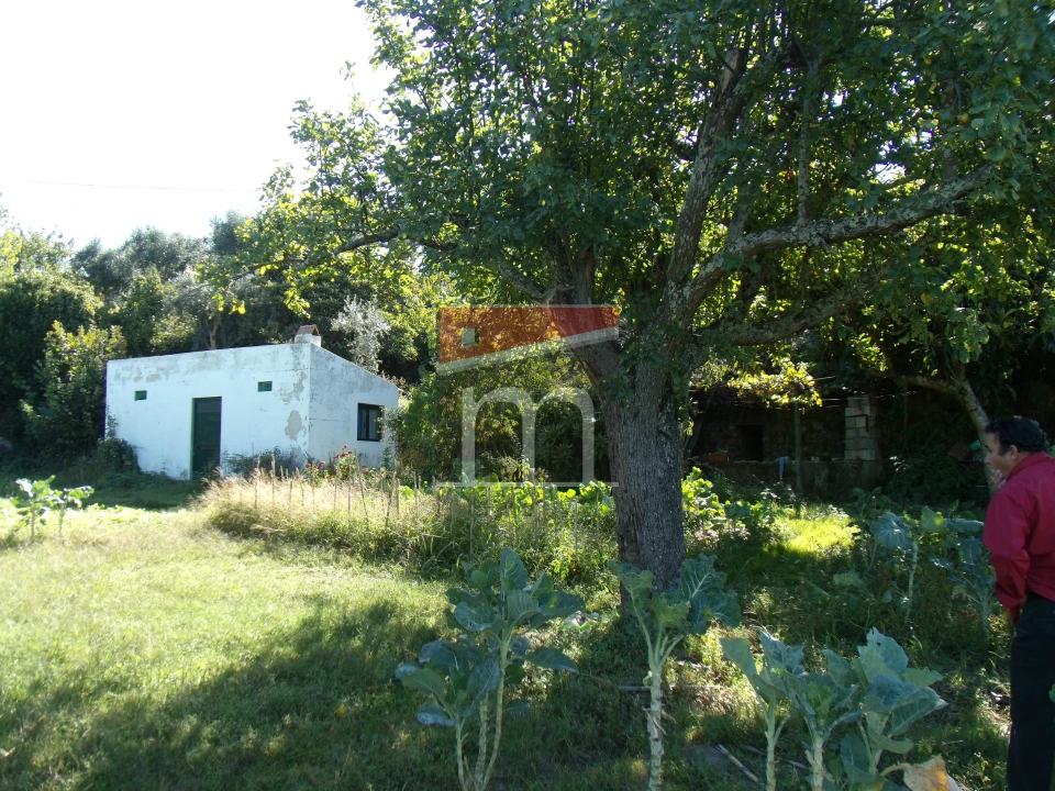 Terreno para Venda em Gouveia (São Pedro e São Julião) Foto 3