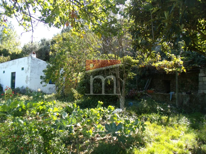 Terreno para Venda em Gouveia (São Pedro e São Julião) Foto 5