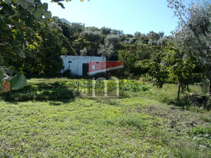 Terreno para Venda em Gouveia (São Pedro e São Julião) Foto 6