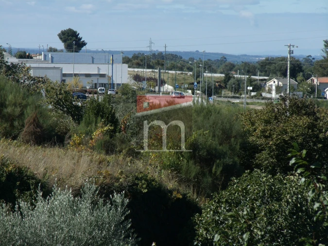 Terreno para Venda em Gouveia (São Pedro e São Julião) Foto 8