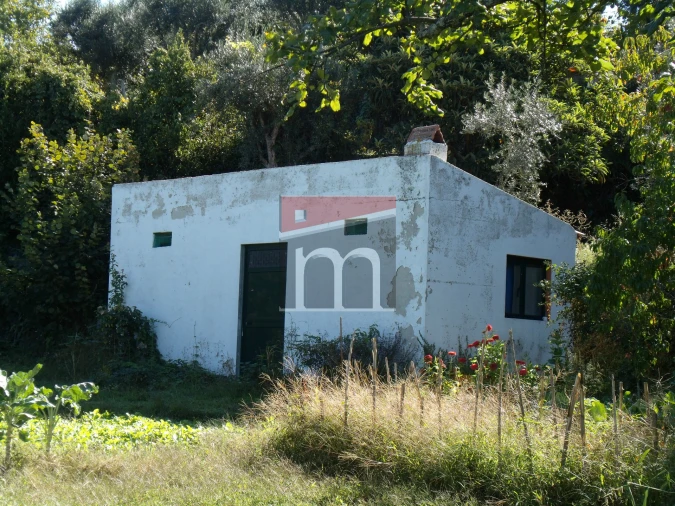 Terreno para Venda em Gouveia (São Pedro e São Julião) Foto 4