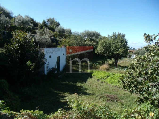 Terreno para Venda em Gouveia (São Pedro e São Julião) Foto 10