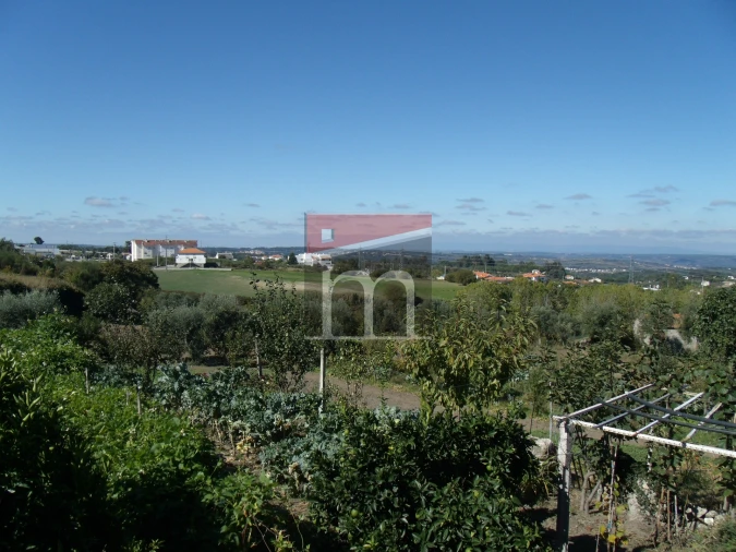 Terreno para Venda em Gouveia (São Pedro e São Julião) Foto 9