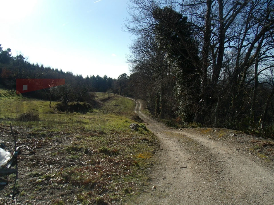 Quinta T2 para Venda em Gouveia (São Pedro e São Julião) Foto 8