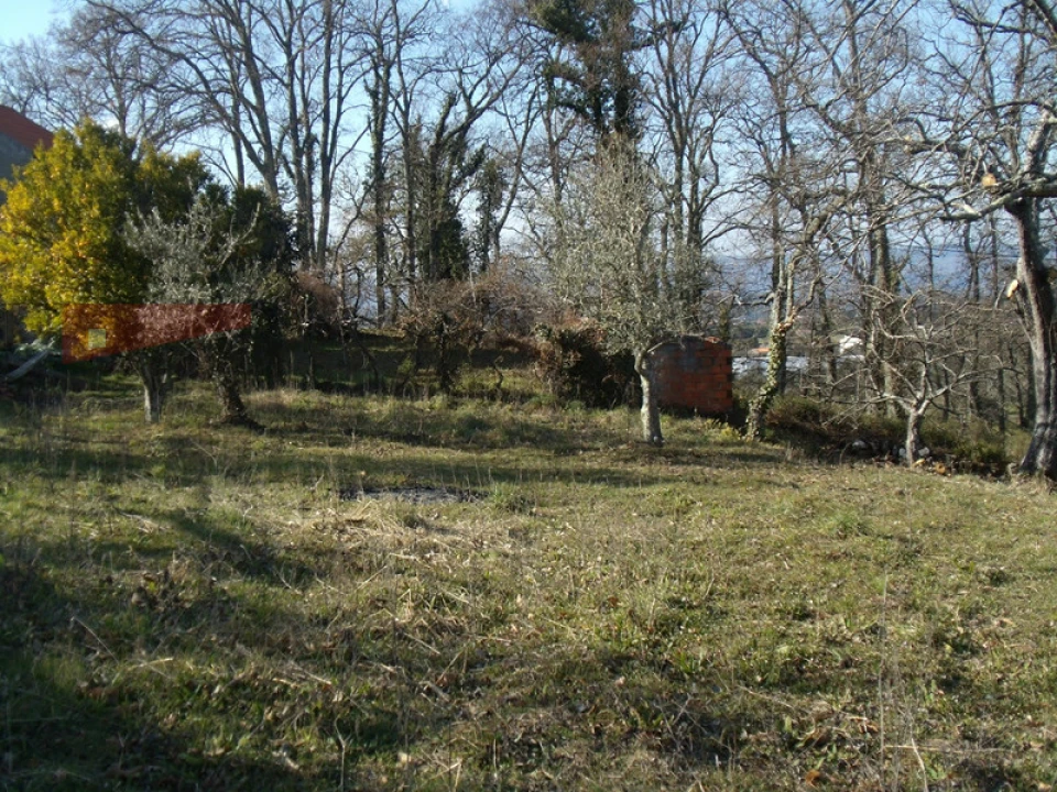 Quinta T2 para Venda em Gouveia (São Pedro e São Julião) Foto 3