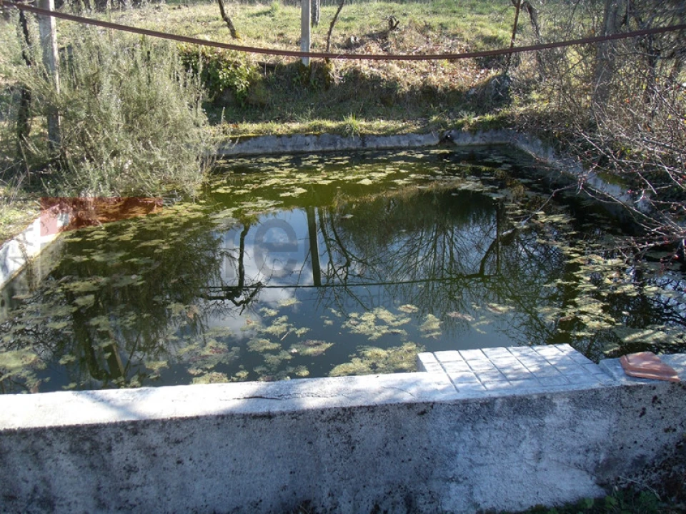 Quinta T2 para Venda em Gouveia (São Pedro e São Julião) Foto 6