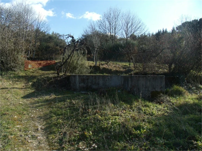 Quinta T2 para Venda em Gouveia (São Pedro e São Julião) Foto 19