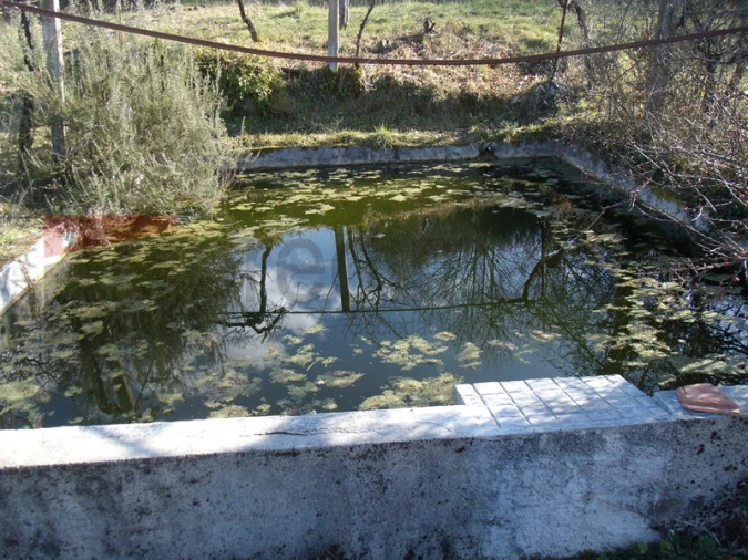 Quinta T2 para Venda em Gouveia (São Pedro e São Julião) Foto 6