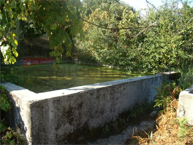 Quinta T2 para Venda em Gouveia (São Pedro e São Julião) Foto 18