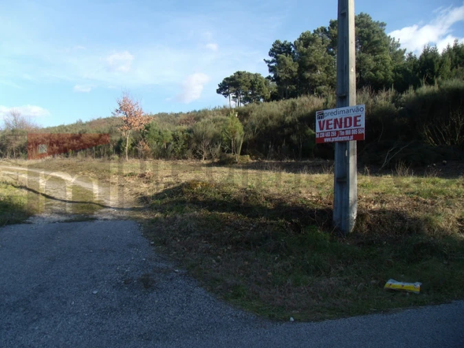Quinta T2 para Venda em Gouveia (São Pedro e São Julião) Foto 10