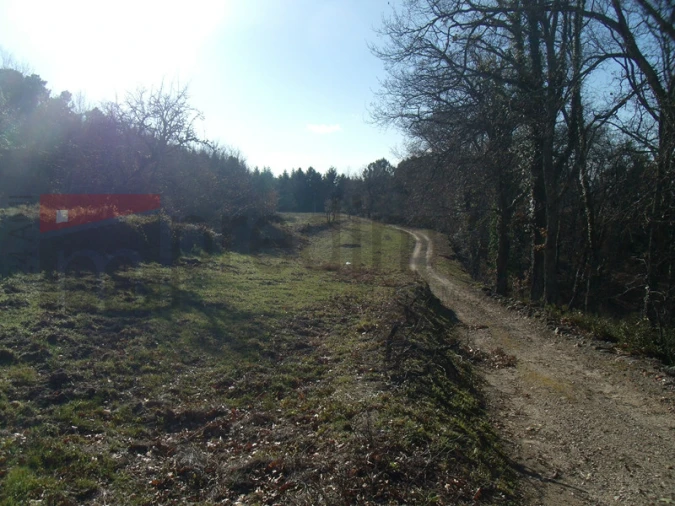 Quinta T2 para Venda em Gouveia (São Pedro e São Julião) Foto 9
