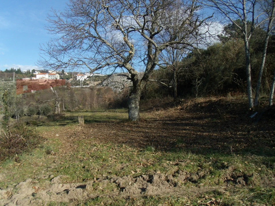 Quinta T2 para Venda em Gouveia (São Pedro e São Julião) Foto 7