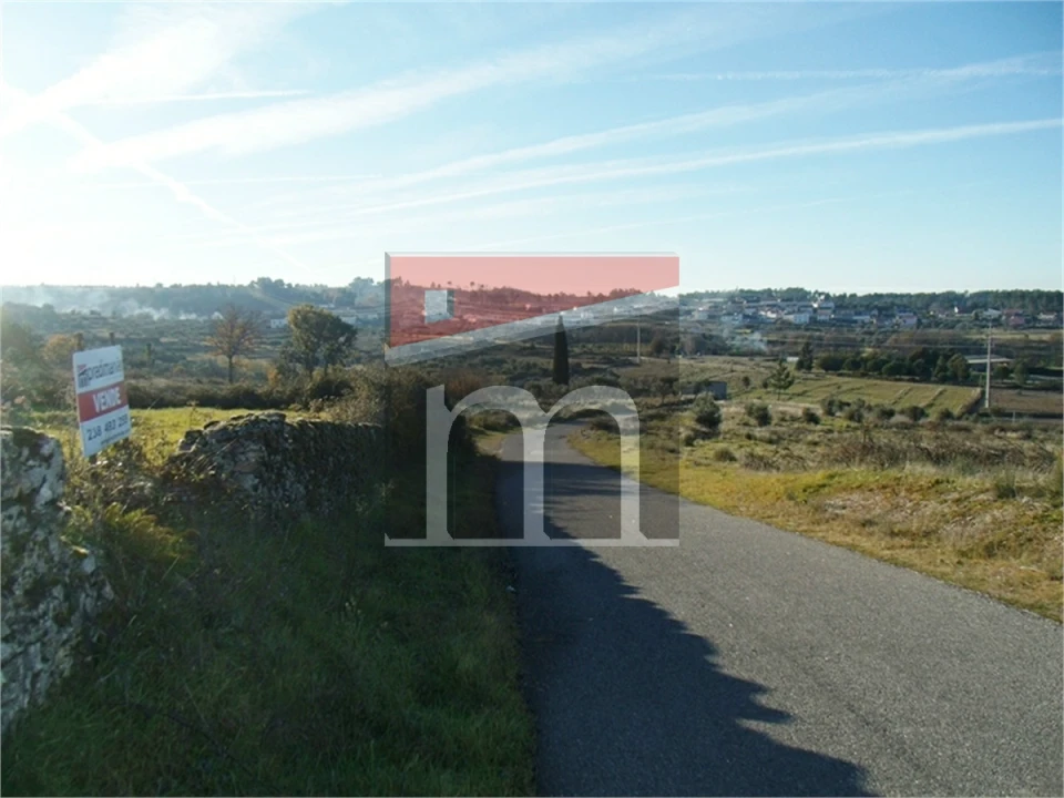 Quinta T0 para Venda em São Paio Foto 7